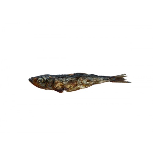 Anco Oceans Dried Herring