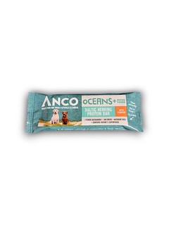 21059 - Anco Oceans+ Protein Bar with Pumpkin