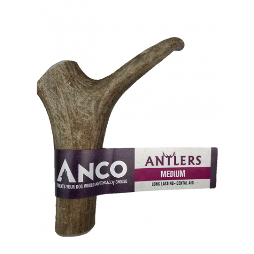 Anco Antlers Medium