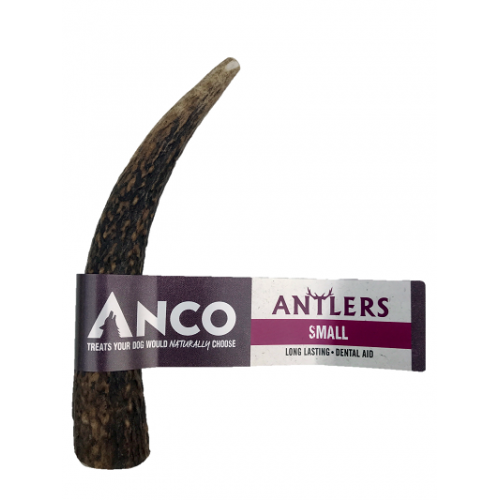 Anco Antlers Small