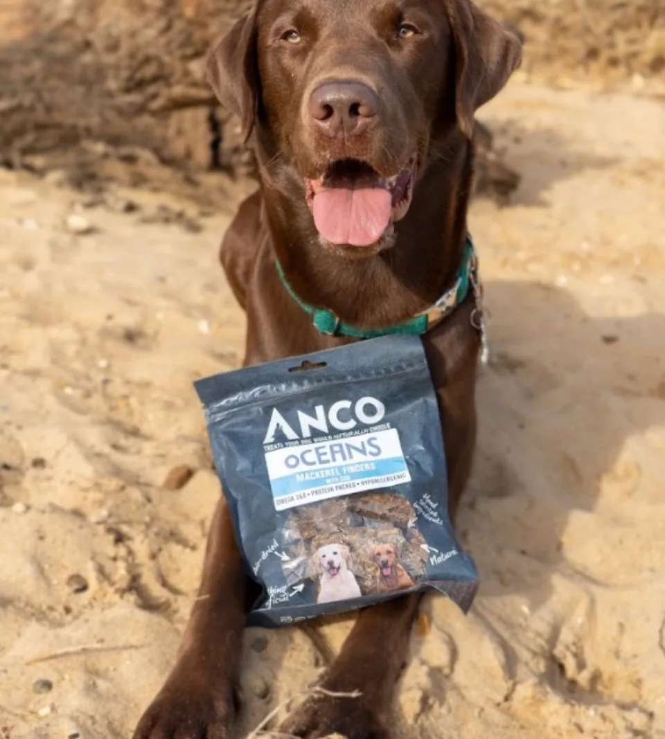 Mackerel Fingers with Cod2